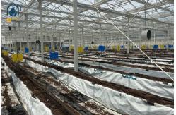 China Plastic Multi Span Eco Friendly Greenhouse With Temperature Controlled Growing supplier