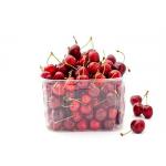 Biodegradable Plastic Sheet Biodegradable Plastic Sheet Catering Packing Tray for sale