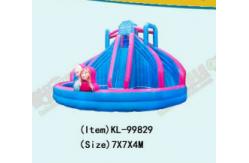 China Aldult  Outdoor Rental Inflatable Large Water Slides With Bouncy supplier