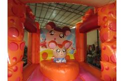 China Lovely Kids Inflatable Bounce House / Mini Size Inflatable Cheese bouncer supplier