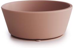 China Heatproof Sturdy Silicone Dinnerware Set Suction Bowl With Spoon supplier