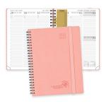 FSC Medium Academic Planner 2023 2023 With Weekly Overview On 2 Pages for sale