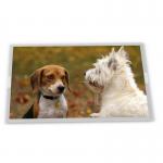 10.4 Inch 1200*2000 A-Si TFT-LCD TV104WUM-LS0  Lcd Display for sale