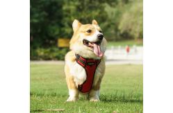 China Light Up Dog Harness Step In Style with Waterproof and Reflective Polyester Material supplier