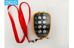 China 8-Way Industrial Wireless Remote Control supplier