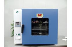 China Lab Drying Oven Environmental Test Chamber Vacuum Drying Equipment supplier