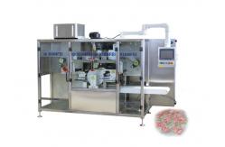 China Fully Automatic Electric Detergent Pod Making Machine in Stainless Steel 304 supplier
