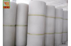 China Hexagonal Plaining 13mm Extruded Plastic Netting supplier