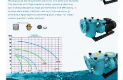 China CCPB30 Swimming Pool Water Pumps For Swimming Pool supplier