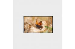 China 43 Inch LCD Panel 2000nits 1920*1080 LCMA-RX0430GL13-Z200 supplier
