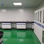 Customizable Lab Wall Bench Length*W750*H850mm Easy Installation