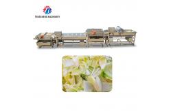 China Silver Fruit And Vegetable Peeler Machine Model and Durable supplier