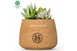 China Customized Cork Flower Pot For Plants With Premium Quality supplier