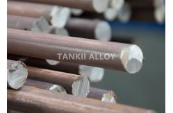 China Durable 0Cr21Al6 FeCrAl Alloy High Resistance Lead Out Heating Rod / Bar supplier