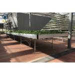 ABS Plastic Ebb And Flow Rolling Benches Water Drain Hydroponic Grow Trays Flood Tables for sale