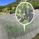 Insect Net 40 Mesh For Greenhouse Protections Insect Barrier Mesh