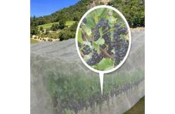 China Insect Net 40 Mesh For Greenhouse Protections Insect Barrier Mesh supplier