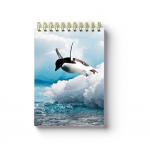 Free Sample A5 Size 3d Lenticular Notebook Cover 0.6mm Thickness