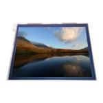 LTM07C382 7.0 inch 262K TFT-LCD Screen Module for sale