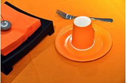 China Biodegradable Disposable Dinnerware Set , 33x33cm Compostable Plates And Cutlery Sets supplier