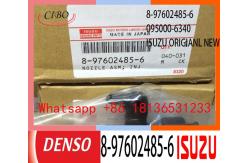 China Lightweight 8-97602485-6 095000-5504 DENSO Engine Injector supplier