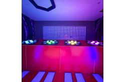 China Activate Team Building Interactive Push Button Develop Multiplayer Games supplier