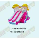 Dolphin Double Lane  Inflatable Slide For Children Fun Park
