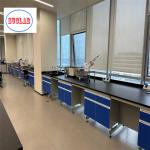 Chemical Resistant Laminate Chemistry Lab Workbench Laboratory Casework Malaysia With Safety Features for sale