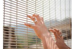 China Powder Coated Welded Wire Mesh Fence Panels For Prison With Square Hole supplier