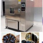 Constant Temperature 1000L Black Garlic Fermentation Equipment Easy To Maintain for sale