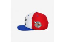 China Lightweight Flat Brim Snapback Hats With 6 Panels 3d Puff Embroidery Hat supplier