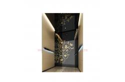 China Black Titanium Series Hydraulic Passenger Elevator For Passenger Lift supplier