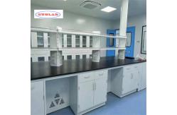 China Functional and Classic Laboratory Furnitures with Export Plywood Package supplier