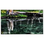 LM238WF5-SSE4 23.8 inch 1920*1080 LCD Touch Panel for sale