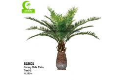 China Aesthetic Height 280cm Artificial Tropical Tree For Office Decoration supplier