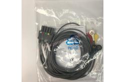 China 989803160721 PHiliph Reusable Efficia Adult ECG 5 Lead Snap IEC supplier