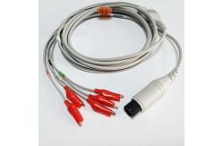 China 6P Dixtal Omnimed Monitor Animal ECG Cable 5 Lead  Grabber AAMI supplier