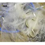 Custom Fishing Net Sticky Net Is Not Easy To Break To Prevent Leakage Of Fish Buy Fishing nets for sale