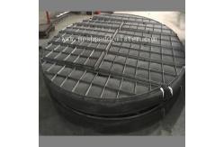 China Gas Liquid Separator Mesh Pad Mist Eliminator Ss316l 750mm supplier
