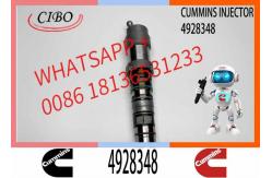 China Q19 Diesel Engine Common Rail Injector 4087888 4087889 4928348 4010025 4928345 4928346 supplier