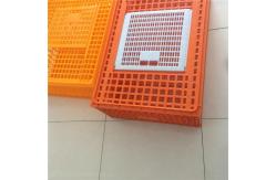 China Broiler Poultry Carrier Crate Farming Plastic Agricultural Crates supplier