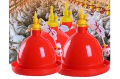 China Broiler Animal Automatic 2kg Poultry Feeder Drinker For Husbandry Equipment supplier