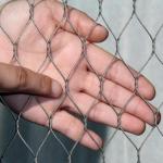 SGS Flexible 20mm Hole Aviary Wire Netting For Zoo for sale
