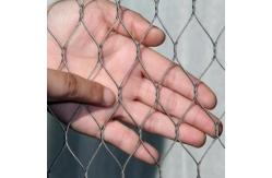 China SGS Flexible 20mm Hole Aviary Wire Netting For Zoo supplier