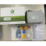 Canine/ Feline/ Rabbit/ Rat Toxoplasma gondii IgG antibody ELISA kit TOXO Ab for sale