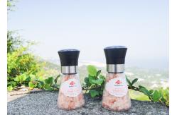 China Transparent Glass Bottle Grinder And Shaker With Spice Adjustable Grinding Head 80ml Capacity supplier