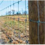 Hight Quality cattle wire mesh fence galvanized farm fence / Farm cattle wire mesh