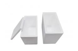 China Cold chain transportation insulation box customization Fragility packaging protection foam box customization supplier