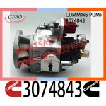 Diesel Engine Parts Fuel Injection PT Pump 3165399 3074835 3074843 For Cummins NTA855 for sale