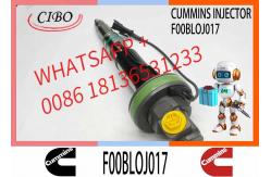 China Fuel Injector Assembly F00BLOJ017 F00BLOJ018 0986435611 F00BLOJ019 Y431K05246For Qsk19 Engine supplier